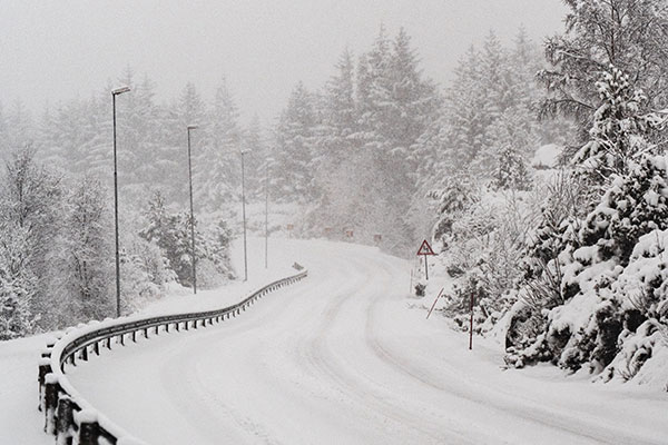 snow covered road in forest